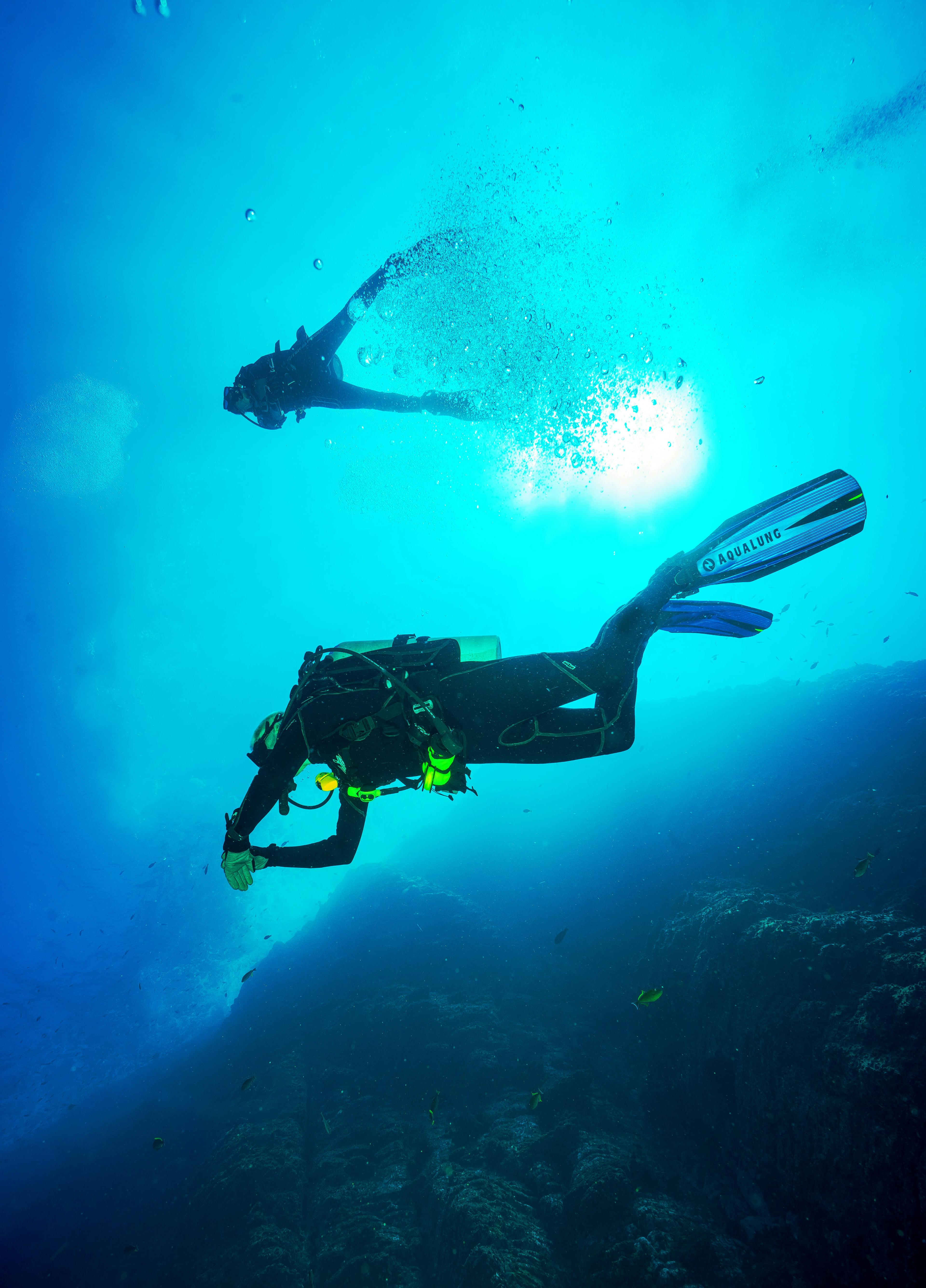 Sample Island Divers photo 3