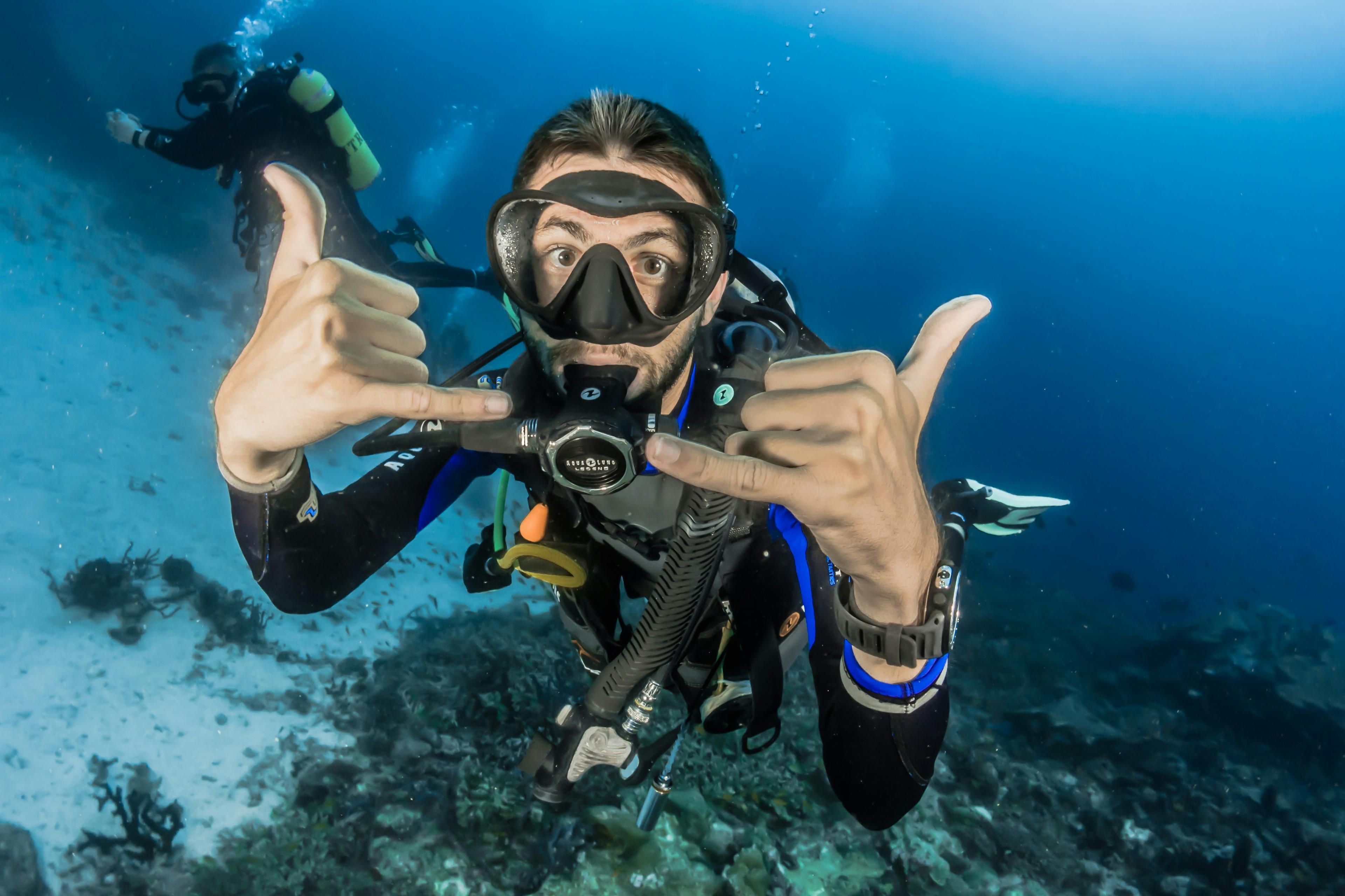 Sample Island Divers photo 5