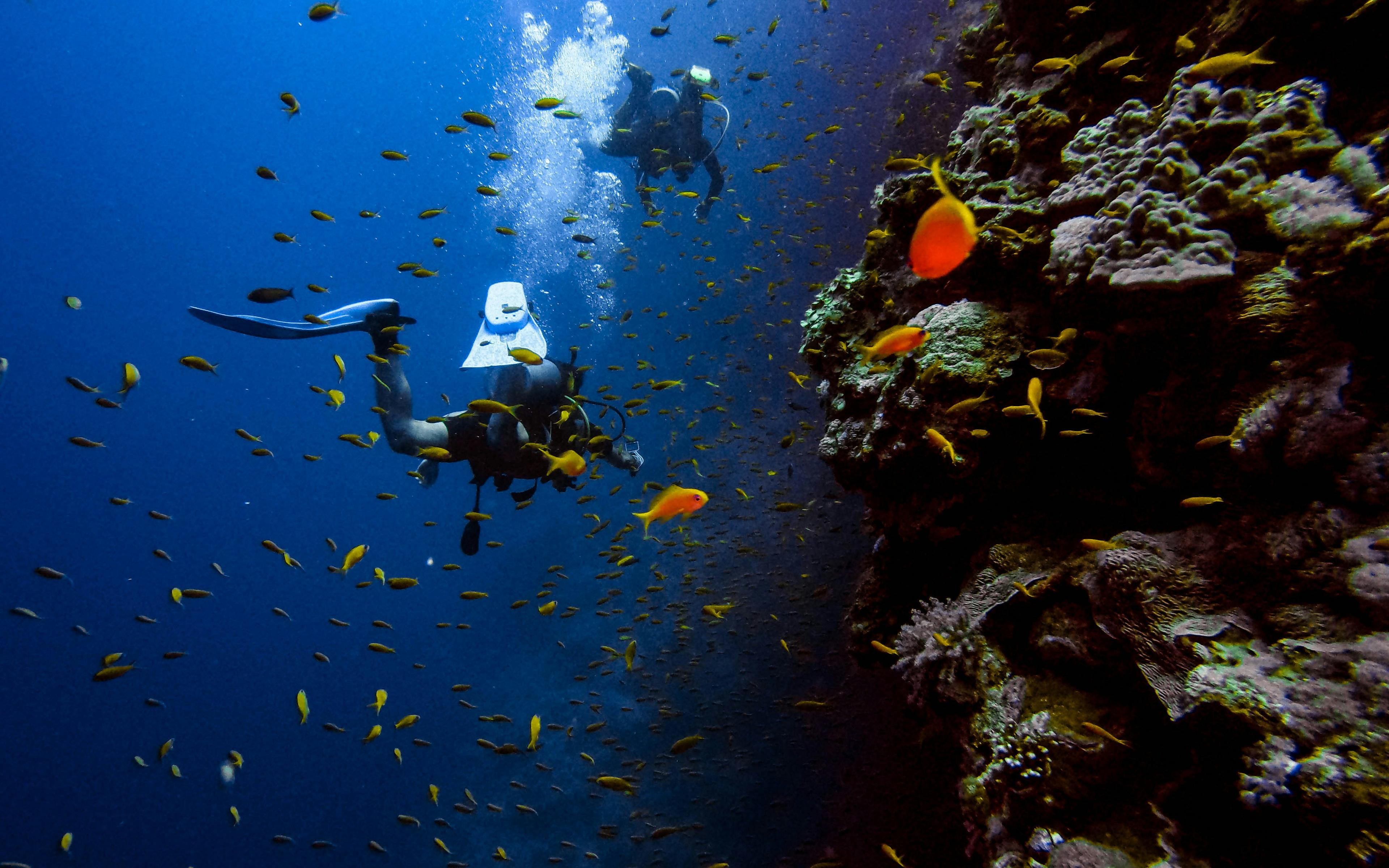 PADI Open Water Diver Course photo 1